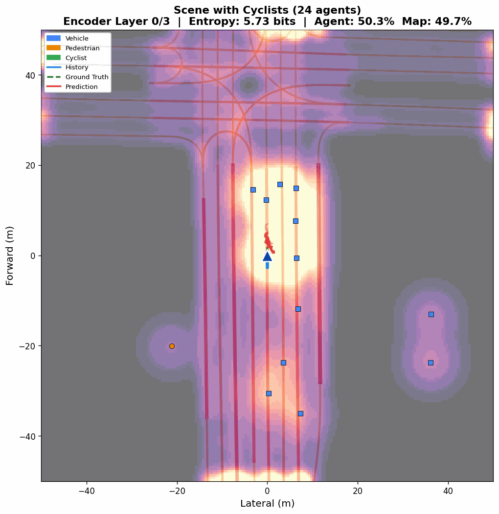 Attention evolution with cyclist