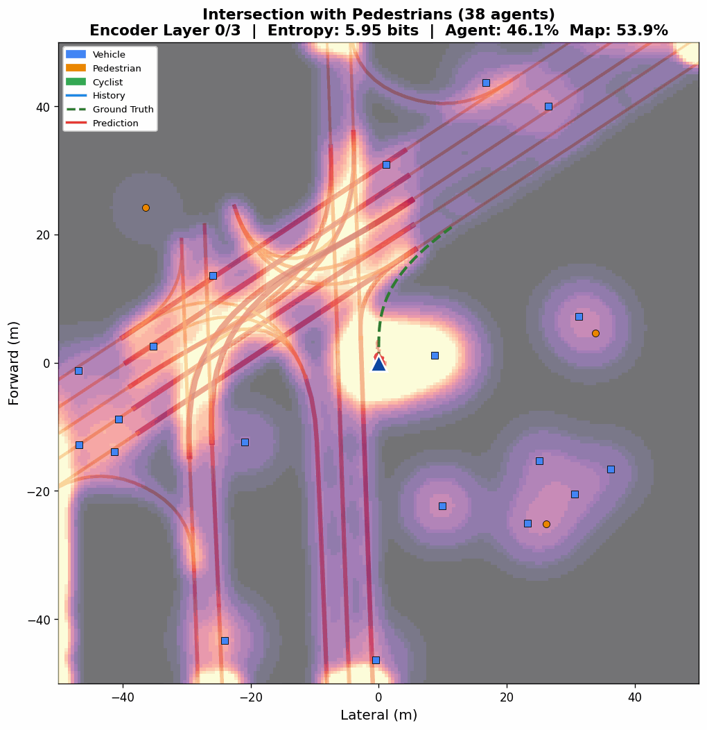 Attention evolution with pedestrian